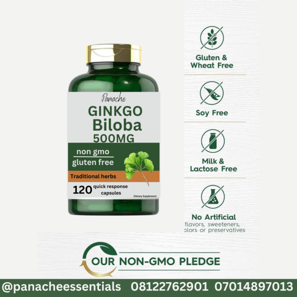 Ginkgo Biloba 500mg - Image 2